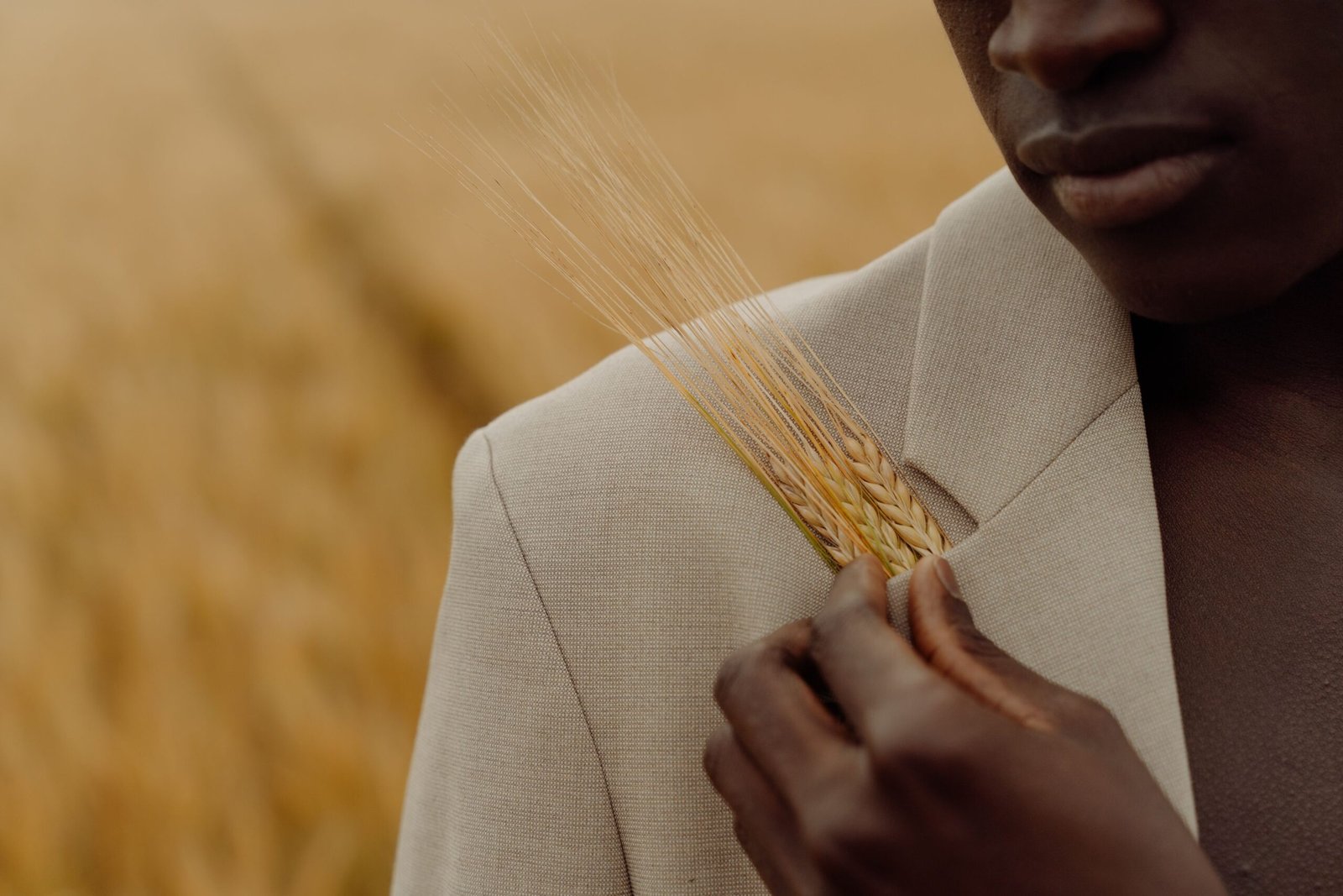 Editorial Campaign